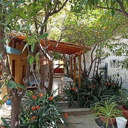 Aegina Town Traditional Lemon House Exterior photo